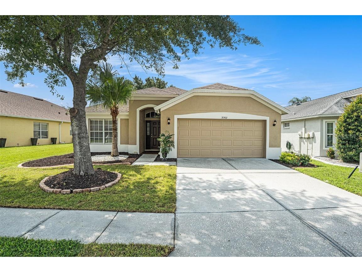 31502 Chatterly Drive Wesley Chapel FL 33543 TB8407511 image1