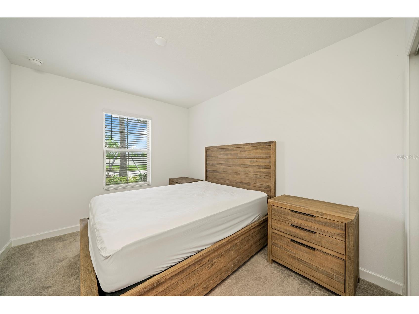 31506 Magna Gulf Loop San Antonio FL 33576 TB8494070 image29