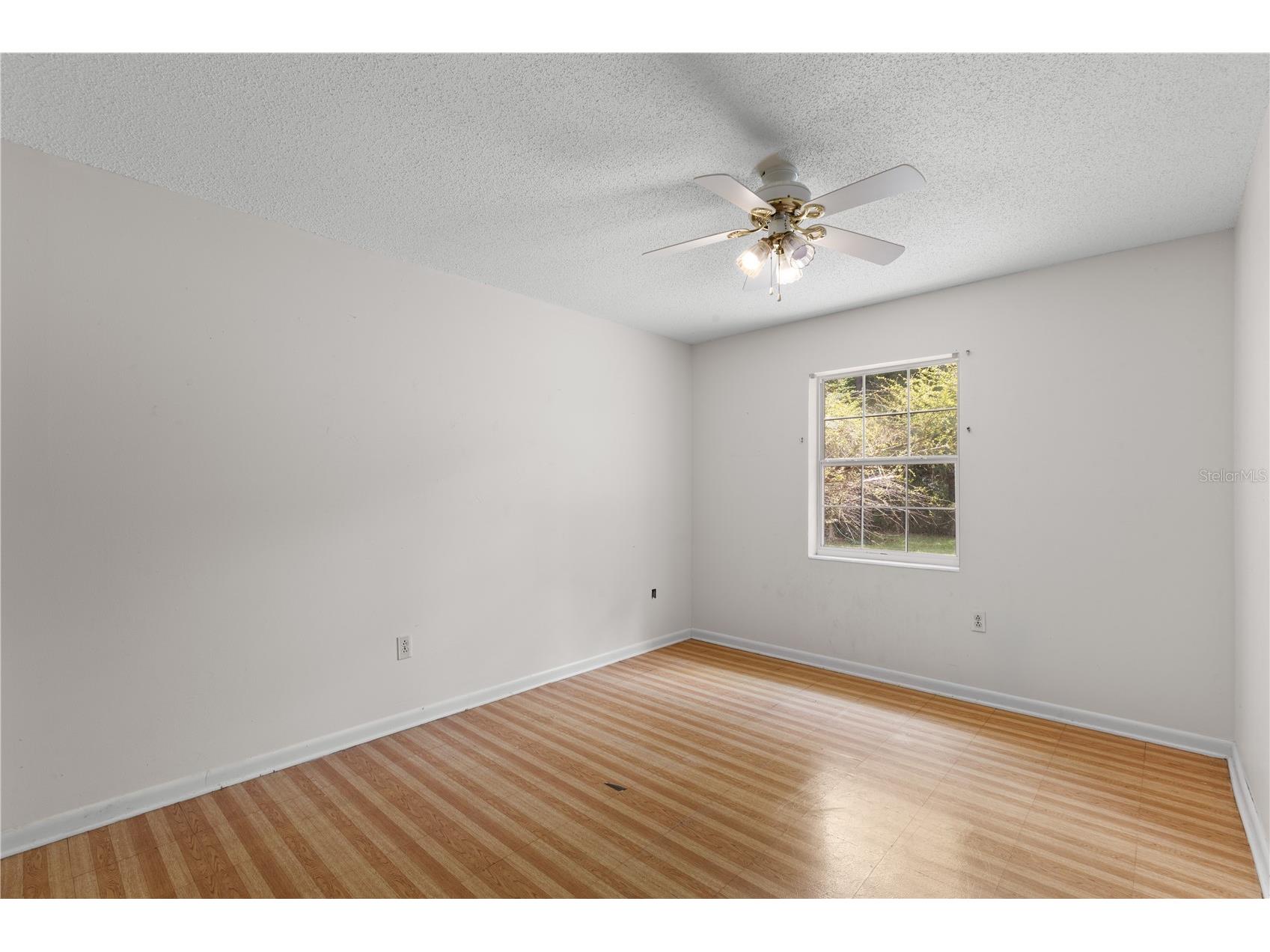 3151 NE 176th Terrace Williston FL 32696 OM727701 image35