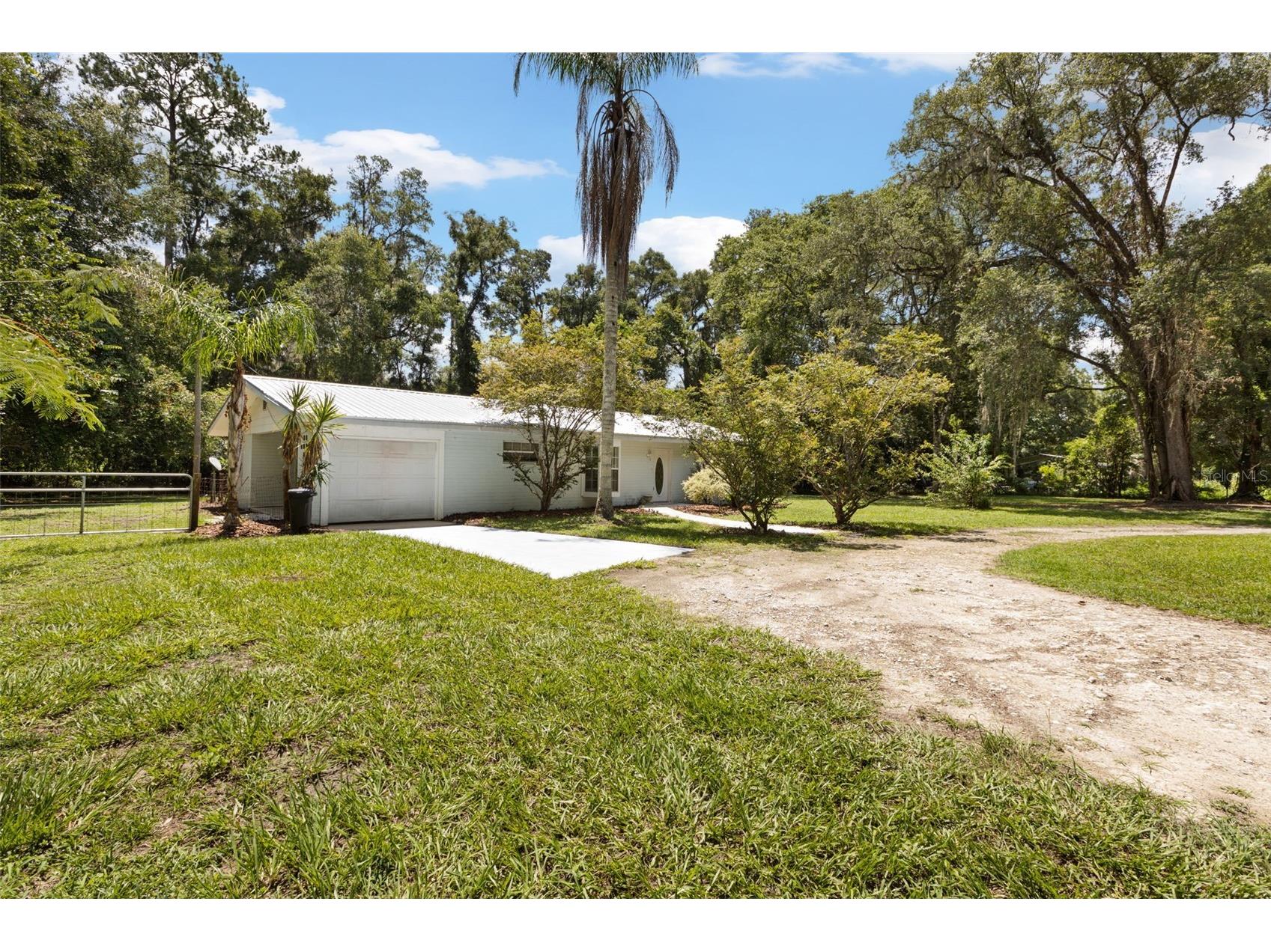 3151 NE 176th Terrace Williston FL 32696 OM727701 image4