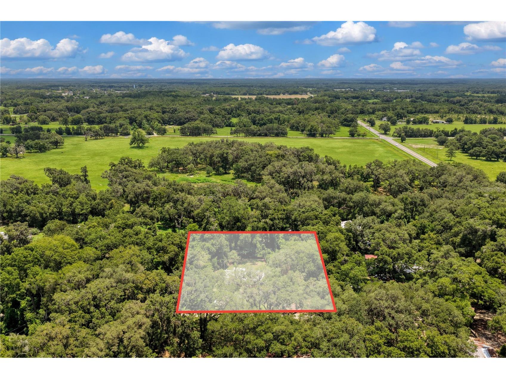3151 NE 176th Terrace Williston FL 32696 OM727701 image55