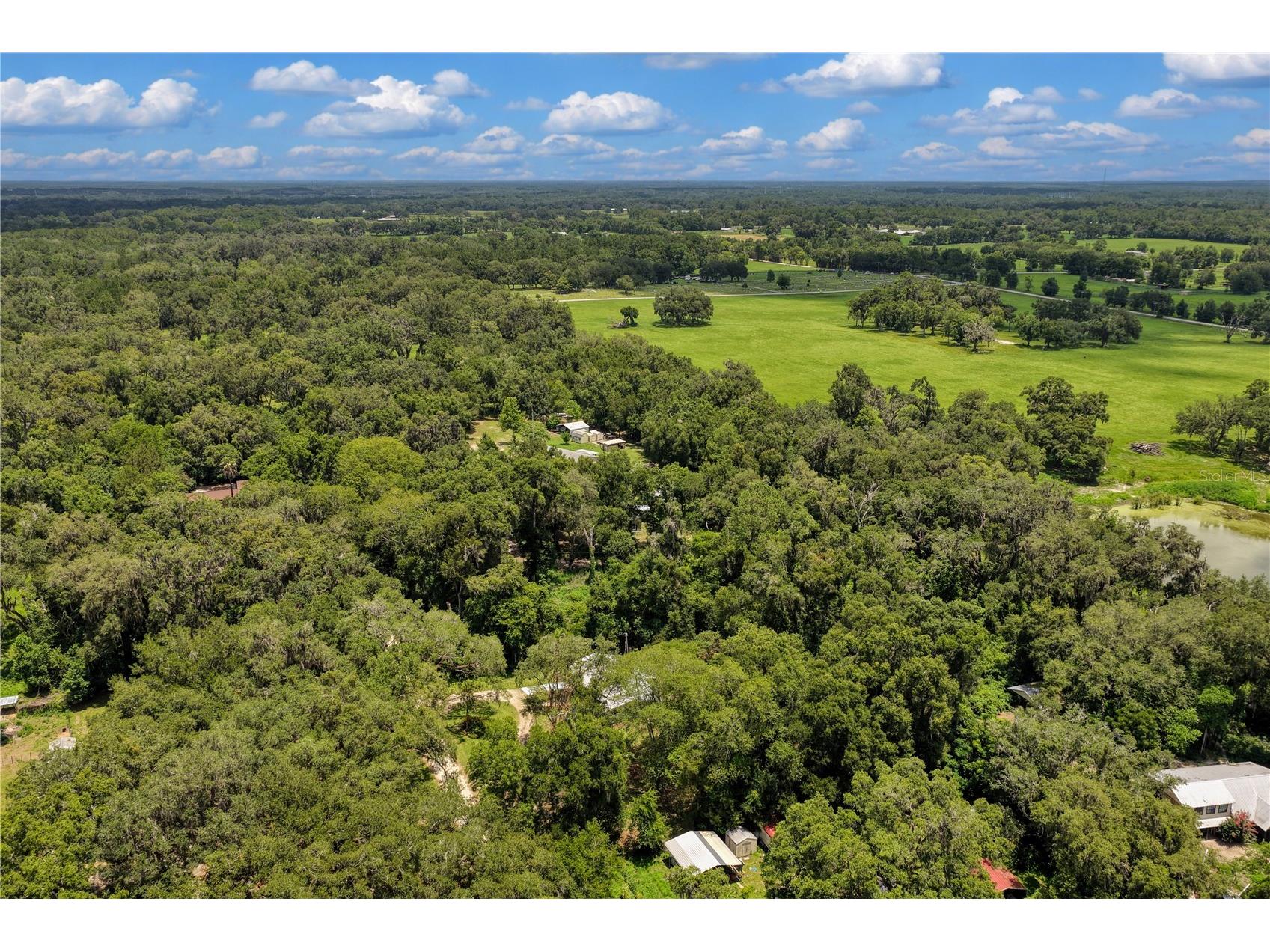 3151 NE 176th Terrace Williston FL 32696 OM727701 image56