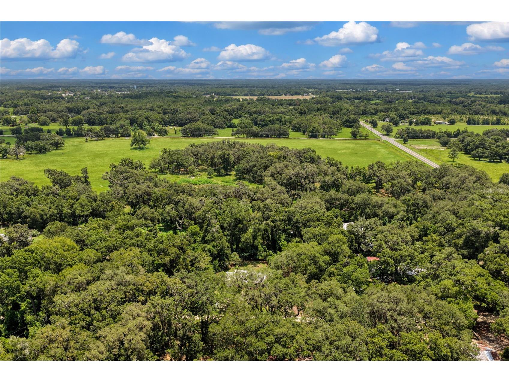 3151 NE 176th Terrace Williston FL 32696 OM727701 image57
