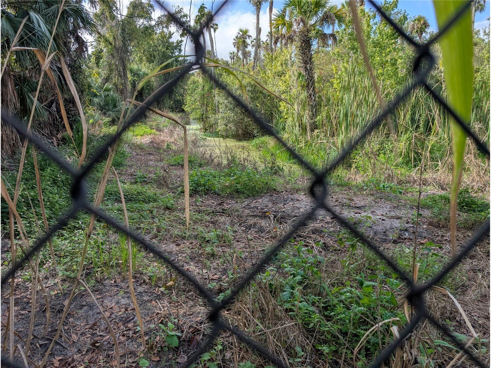 3151 Rooks Road Davenport FL 33837 B4902196 image72