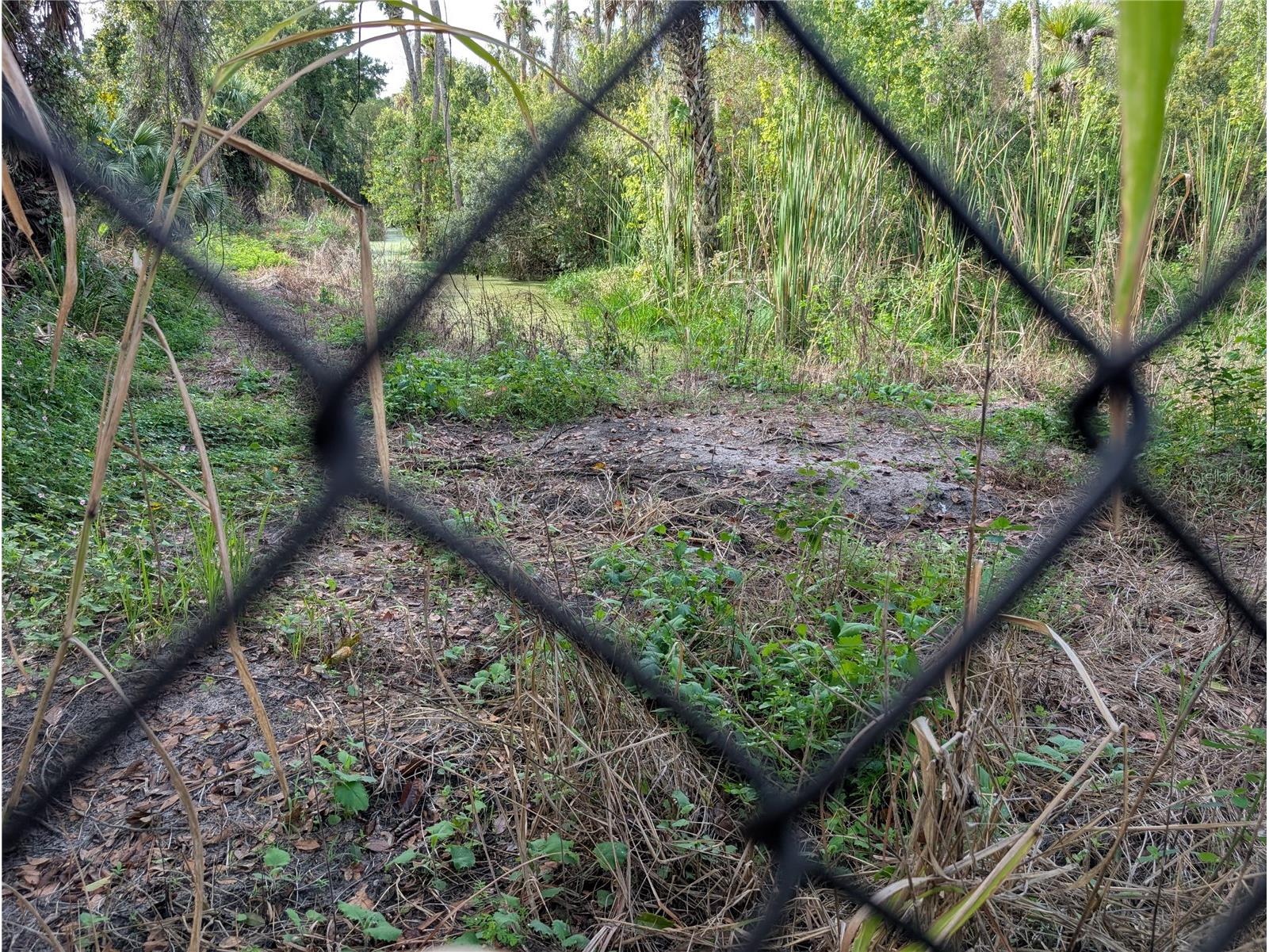 3151 Rooks Road Davenport FL 33837 B4902196 image73