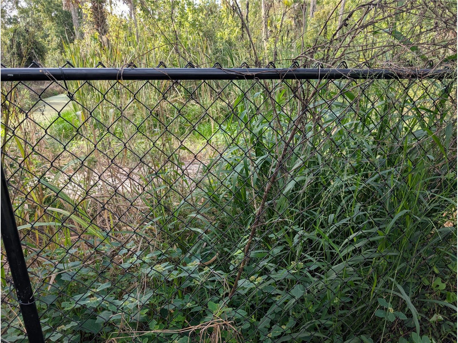 3151 Rooks Road Davenport FL 33837 B4902196 image76