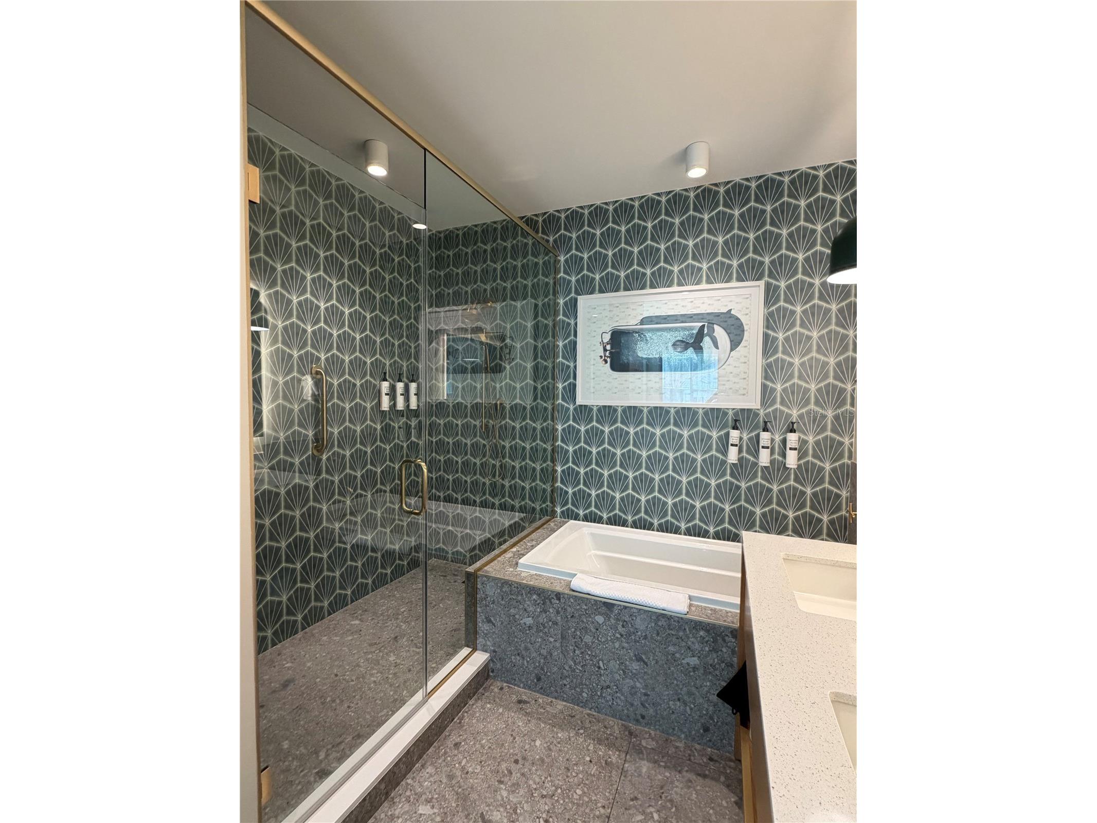 3151 Sunset Walk Drive #116 Kissimmee FL 34747 S5153810 image10
