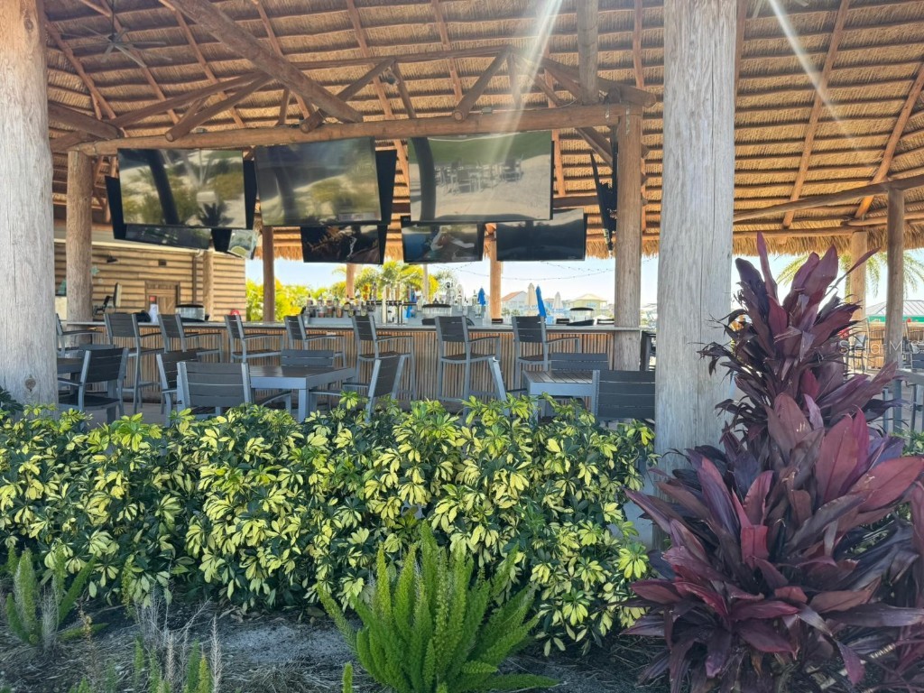 3151 Sunset Walk Drive #314 Kissimmee FL 34747 TB8417643 image59