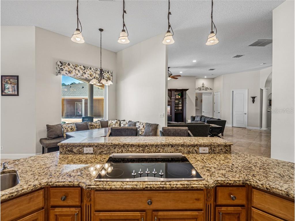 31511 Saddle Lane Wesley Chapel FL 33543 TB8429029 image18