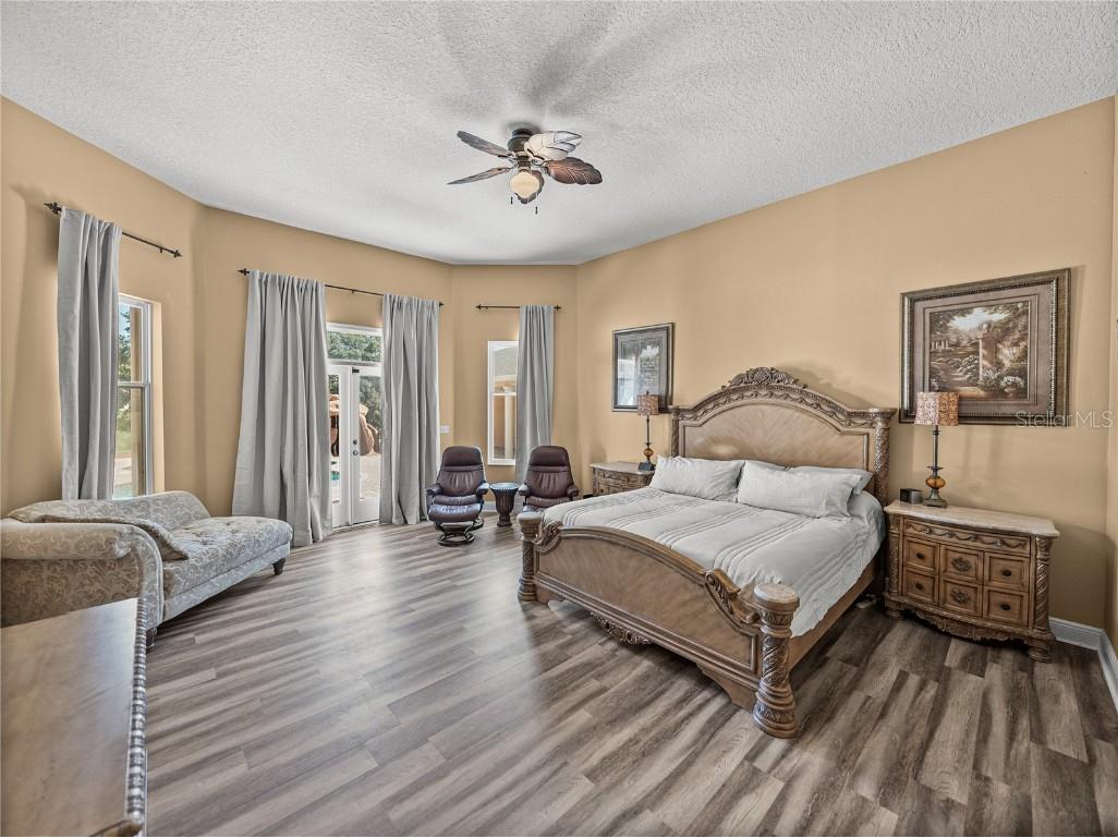 31511 Saddle Lane Wesley Chapel FL 33543 TB8429029 image27