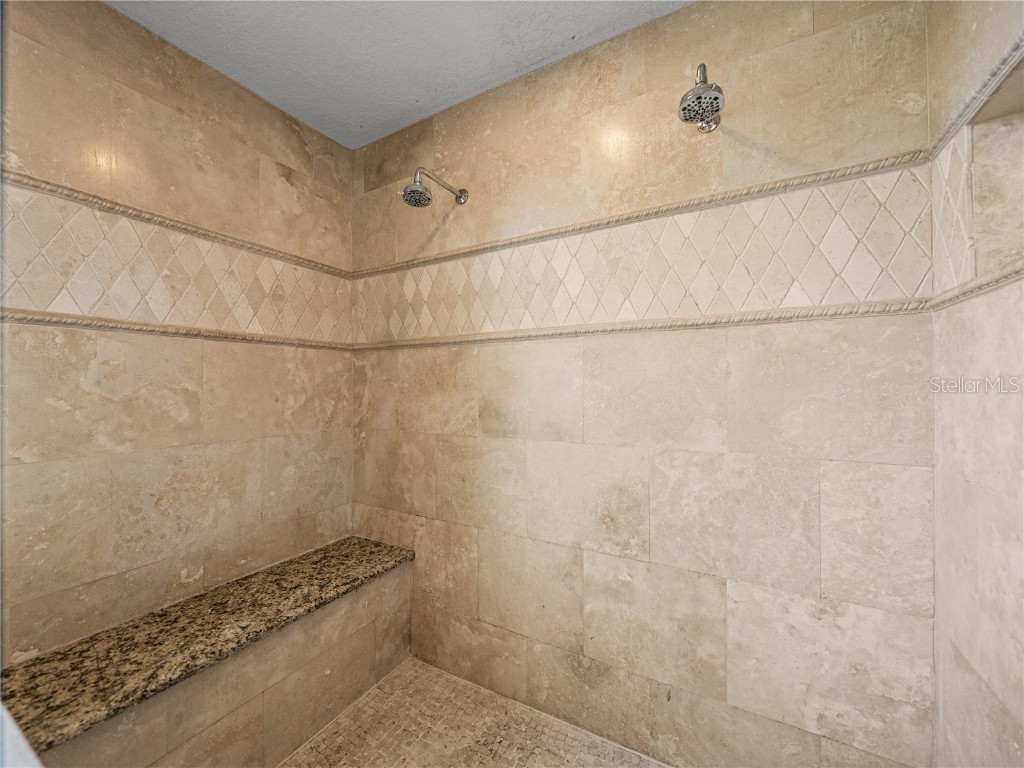 31511 Saddle Lane Wesley Chapel FL 33543 TB8429029 image32