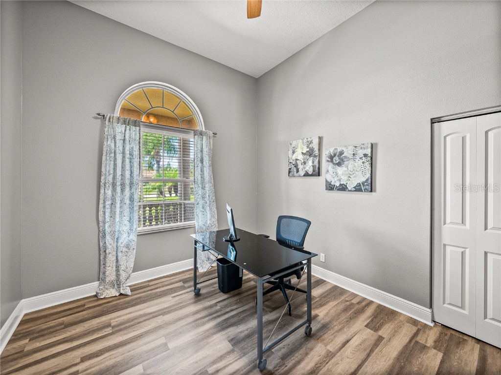 31511 Saddle Lane Wesley Chapel FL 33543 TB8429029 image34