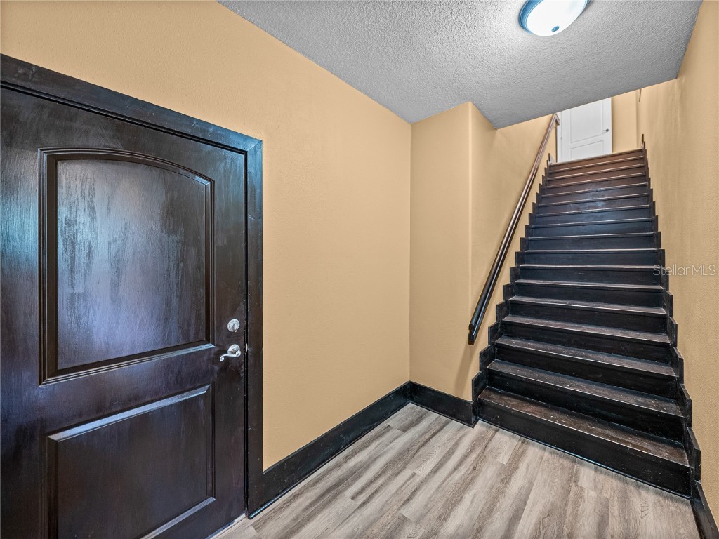 31511 Saddle Lane Wesley Chapel FL 33543 TB8429029 image35