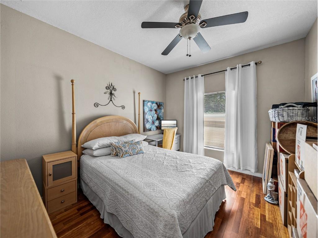 31511 Saddle Lane Wesley Chapel FL 33543 TB8429029 image59