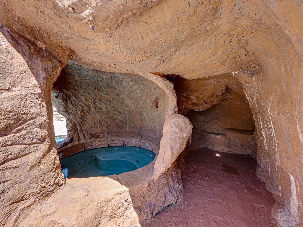 31511 Saddle Lane Wesley Chapel FL 33543 TB8429029 image63