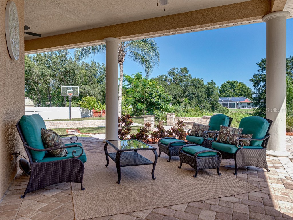 31511 Saddle Lane Wesley Chapel FL 33543 TB8429029 image71