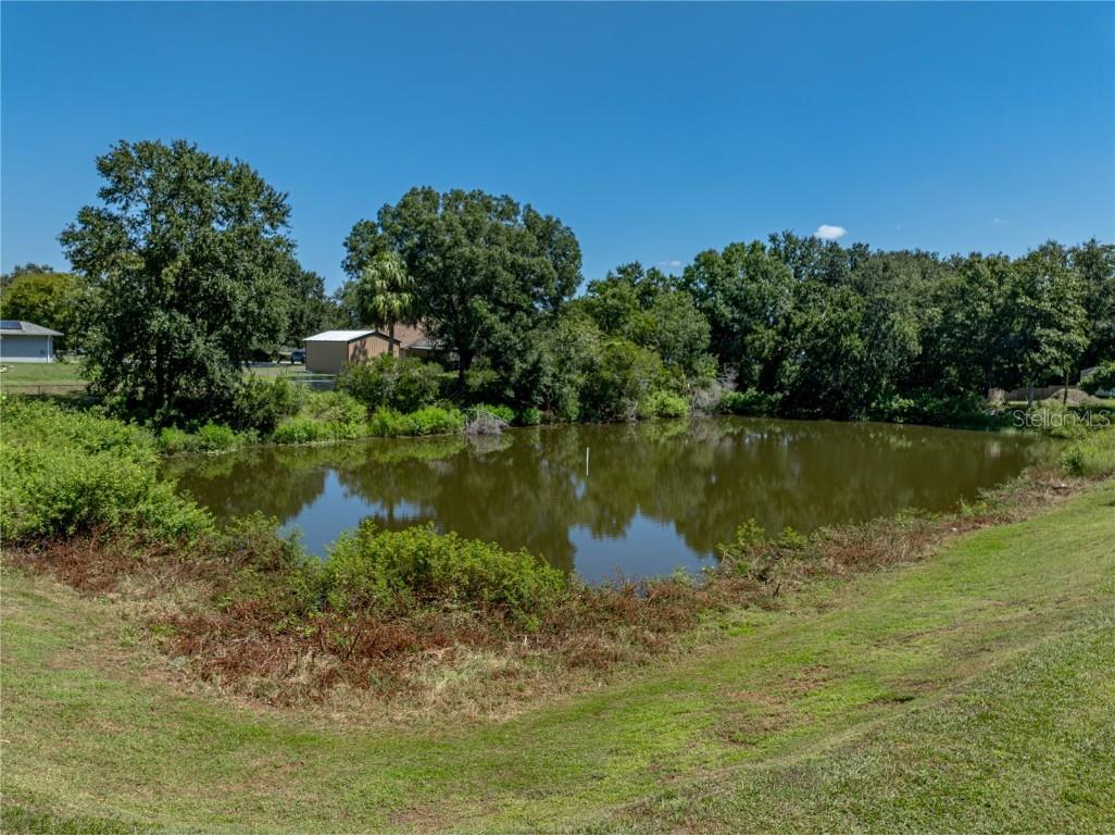 31511 Saddle Lane Wesley Chapel FL 33543 TB8429029 image83