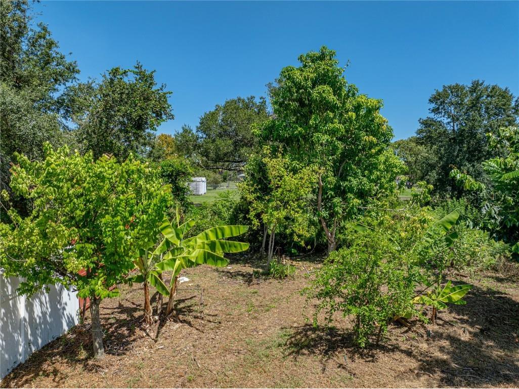 31511 Saddle Lane Wesley Chapel FL 33543 TB8429029 image84