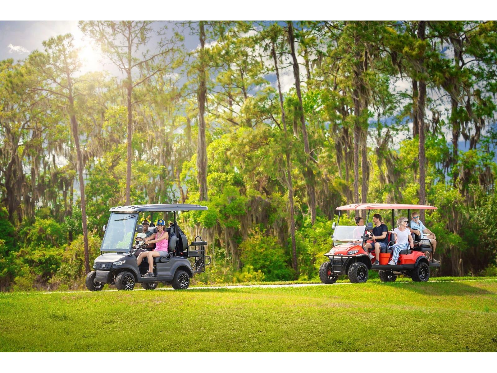 31515 Azure Beach Drive San Antonio FL 33576 W7882684 image17