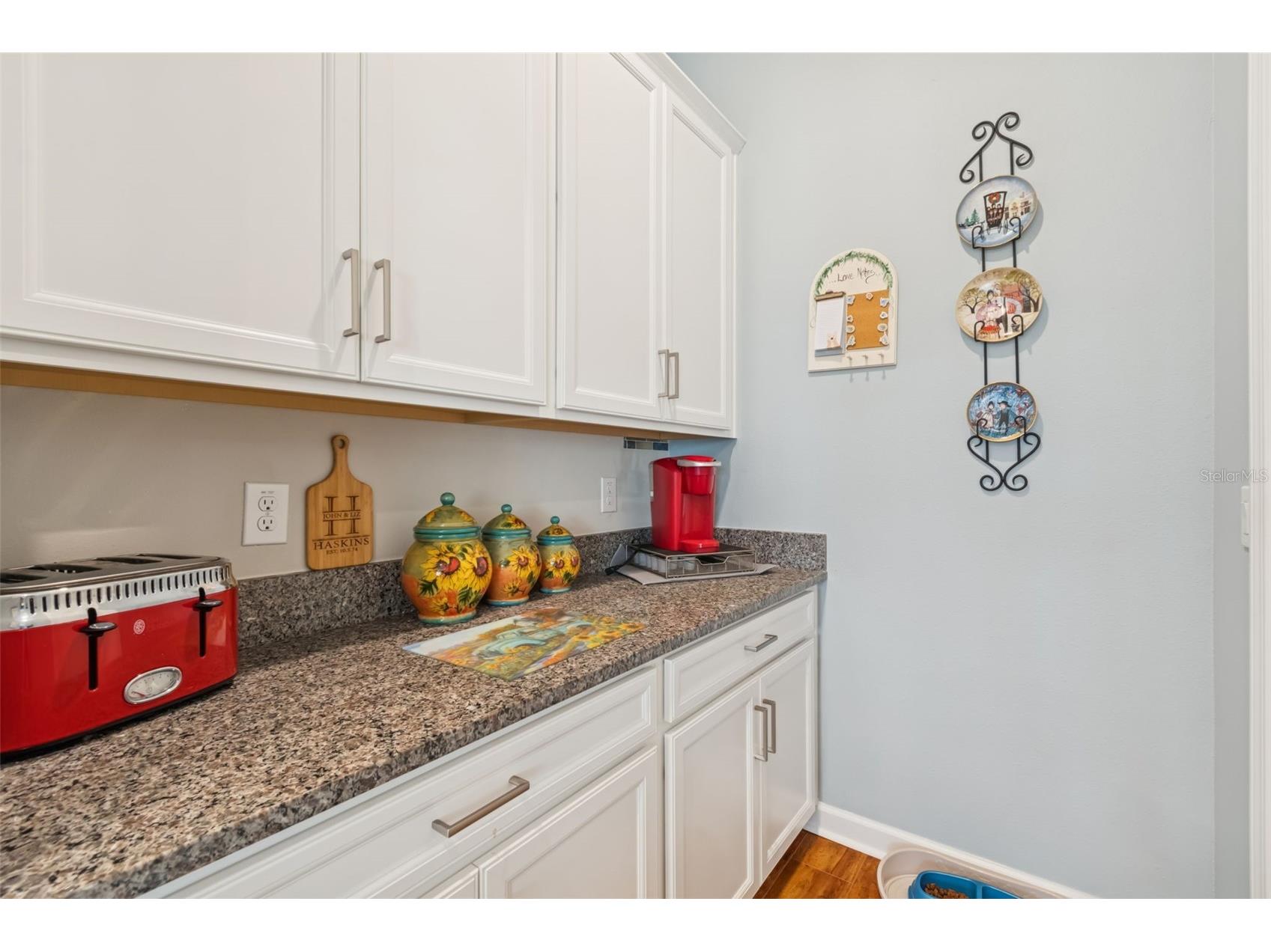31516 Cabana Rye San Antonio FL 33576 TB8466600 image30