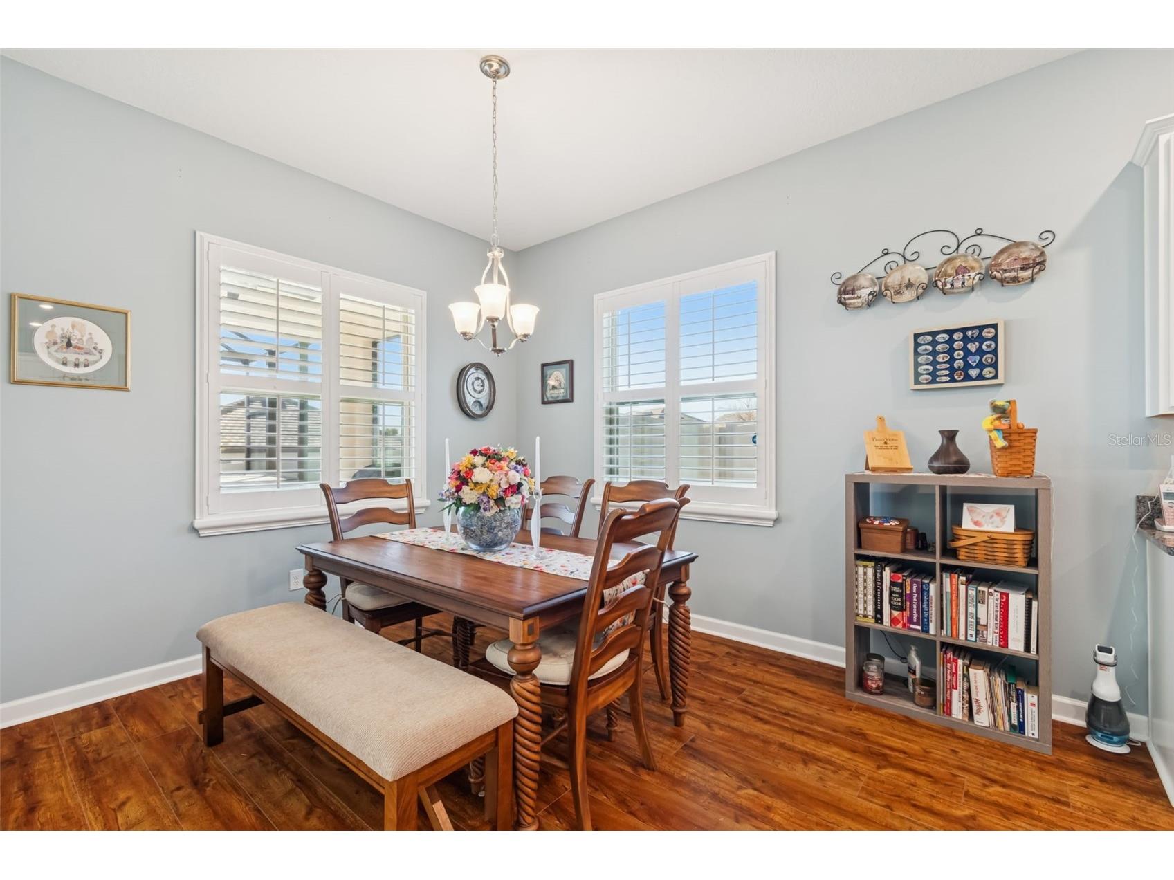 31516 Cabana Rye San Antonio FL 33576 TB8466600 image33