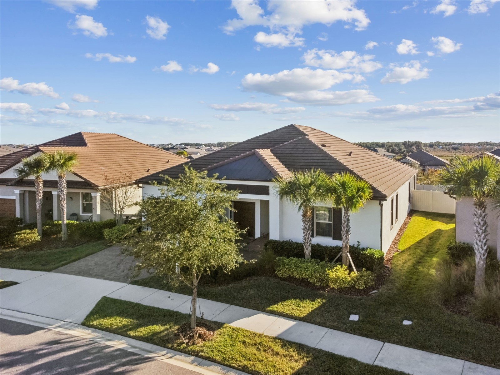 31516 Cabana Rye San Antonio FL 33576 TB8466600 image67