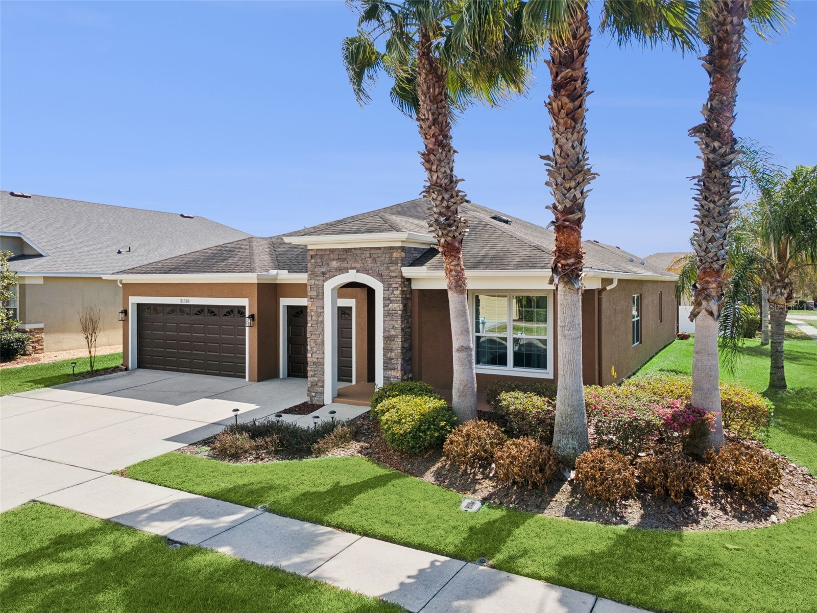 31518 Bearded Oak Drive Wesley Chapel FL 33543 L4959882 image2