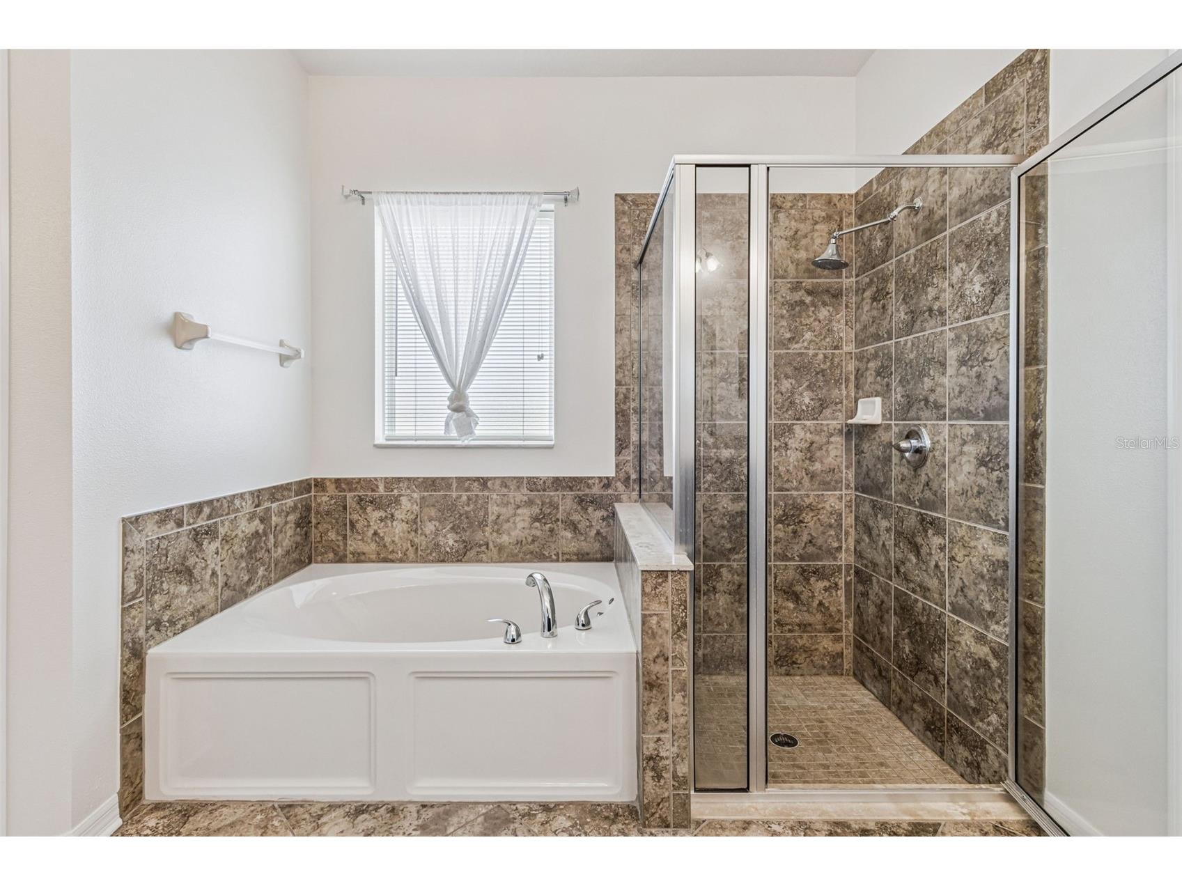 31518 Bearded Oak Drive Wesley Chapel FL 33543 L4959882 image24