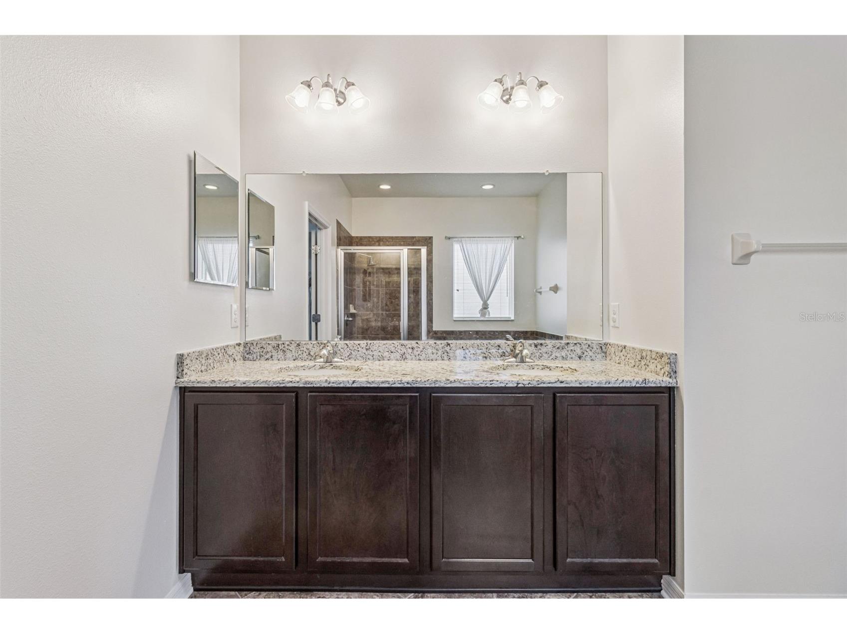 31518 Bearded Oak Drive Wesley Chapel FL 33543 L4959882 image25
