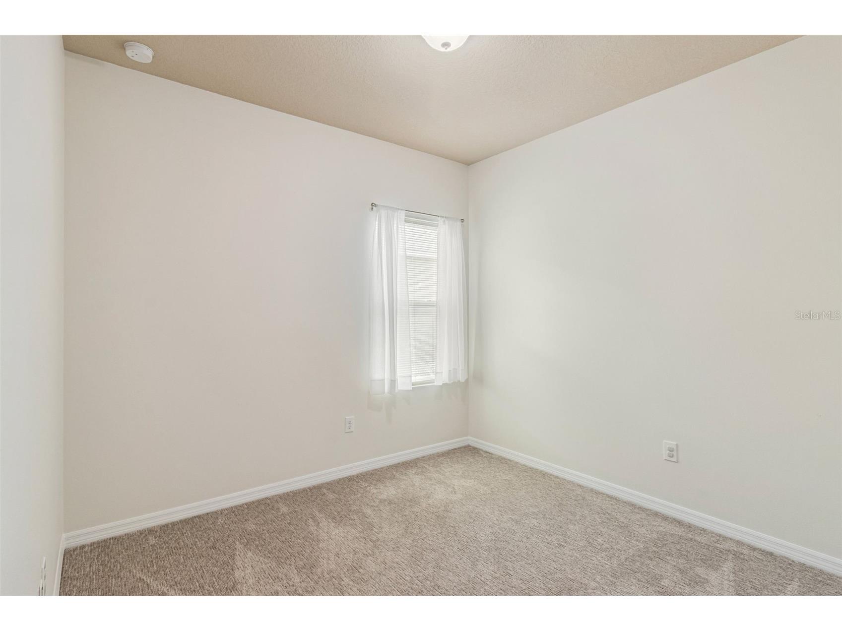 31518 Bearded Oak Drive Wesley Chapel FL 33543 L4959882 image32