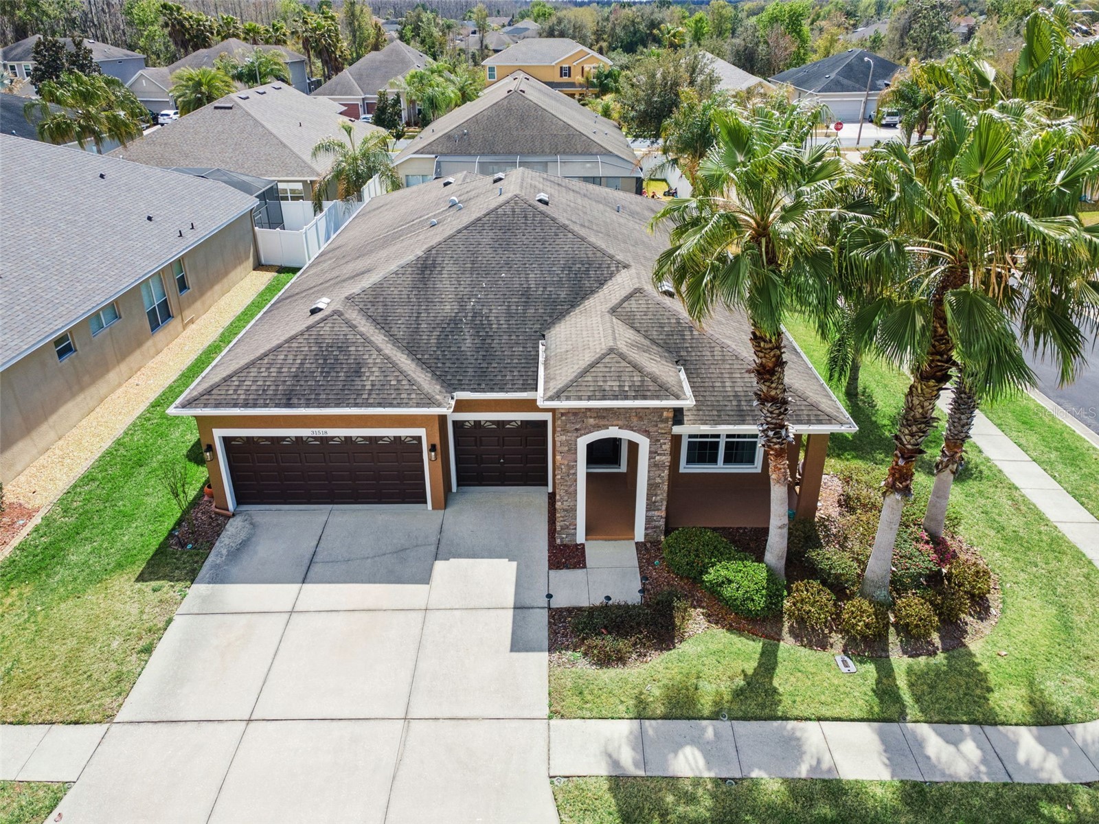 31518 Bearded Oak Drive Wesley Chapel FL 33543 L4959882 image43