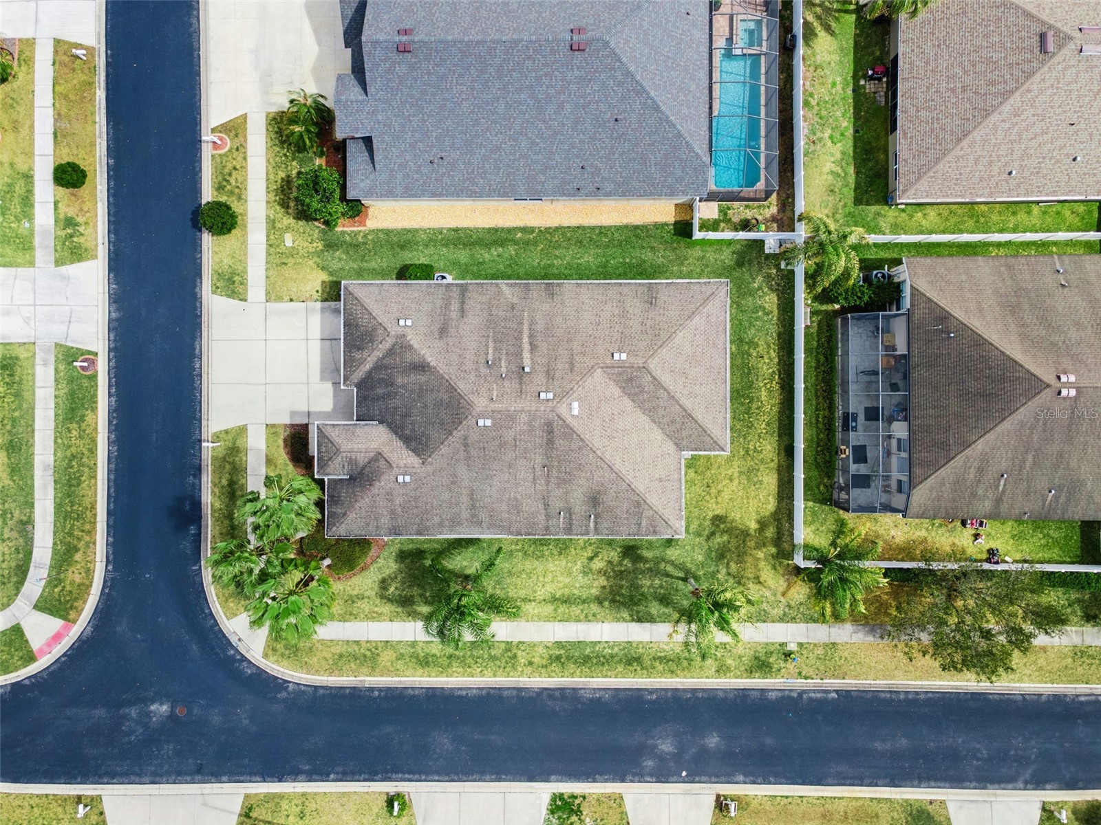 31518 Bearded Oak Drive Wesley Chapel FL 33543 L4959882 image44