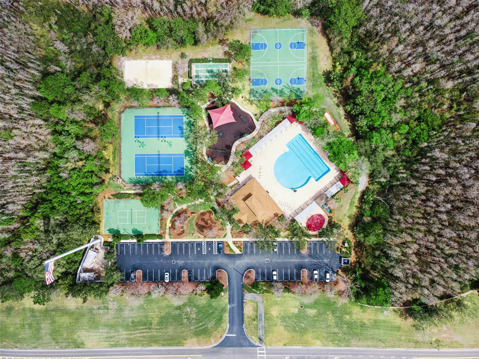 31518 Bearded Oak Drive Wesley Chapel FL 33543 L4959882 image46