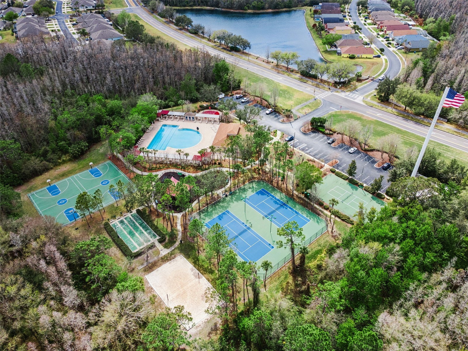 31518 Bearded Oak Drive Wesley Chapel FL 33543 L4959882 image47