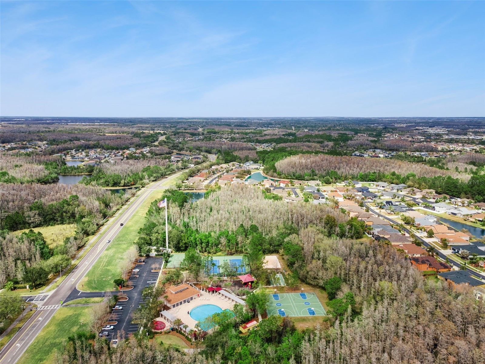 31518 Bearded Oak Drive Wesley Chapel FL 33543 L4959882 image48