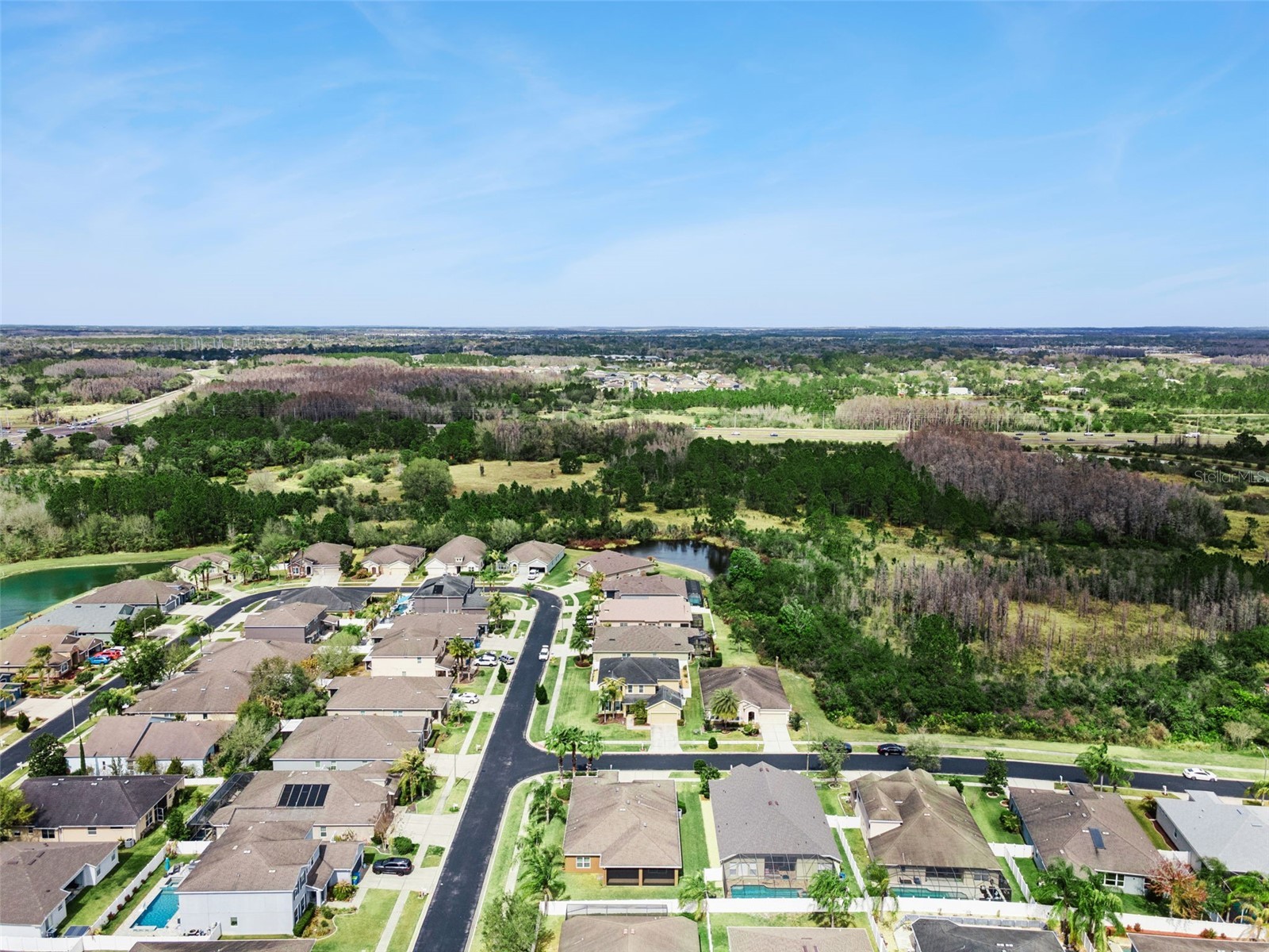 31518 Bearded Oak Drive Wesley Chapel FL 33543 L4959882 image50