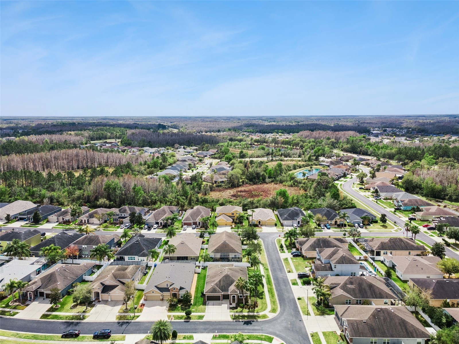 31518 Bearded Oak Drive Wesley Chapel FL 33543 L4959882 image51