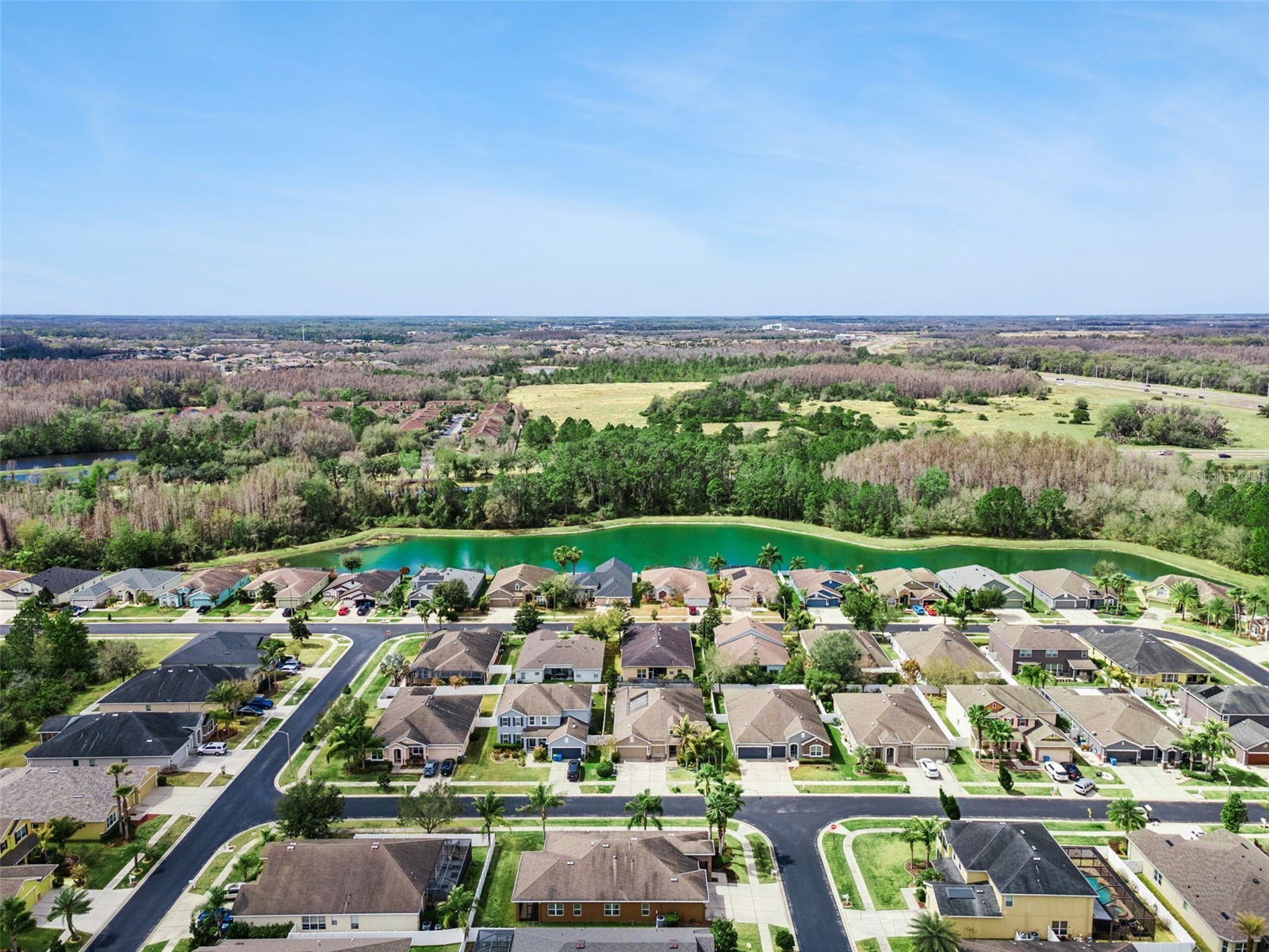 31518 Bearded Oak Drive Wesley Chapel FL 33543 L4959882 image53