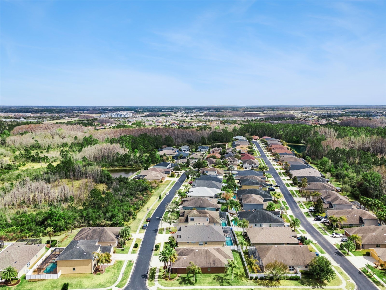31518 Bearded Oak Drive Wesley Chapel FL 33543 L4959882 image54