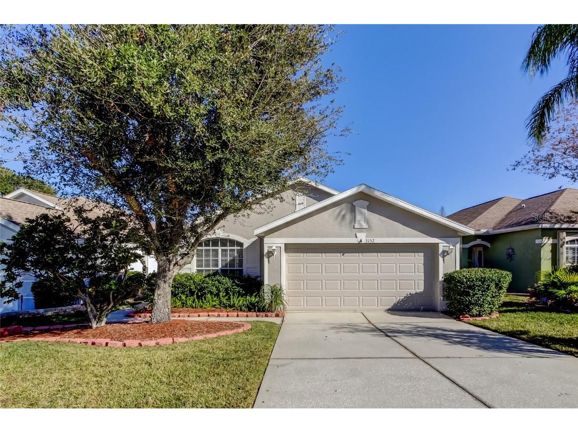 3152 Banyan Hill Lane Land O Lakes FL 34639 TB8333353 image1