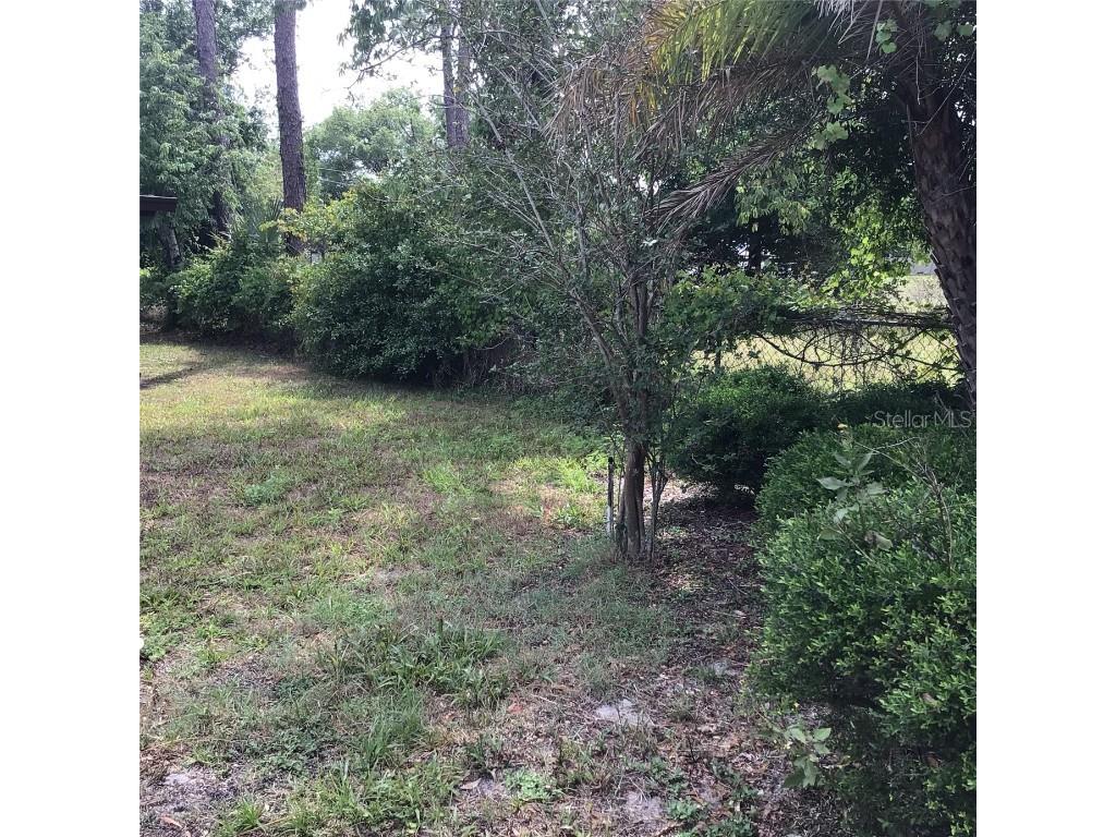 3152 Clewiston Street Deltona FL 32738 O6307593 image41