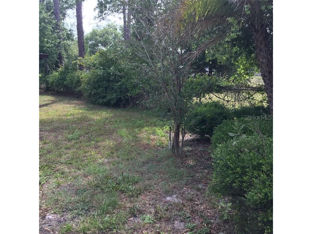 3152 Clewiston Street Deltona FL 32738 O6307593 image42