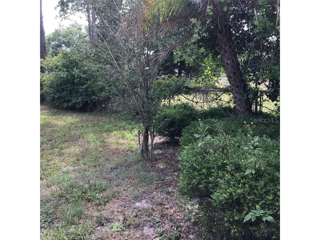 3152 Clewiston Street Deltona FL 32738 O6307593 image44