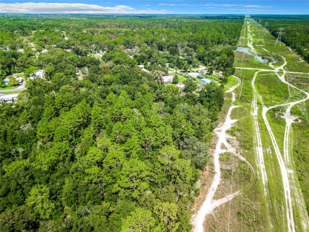 3152 N Bert Terrace Crystal River FL 34428 O6232723 image4