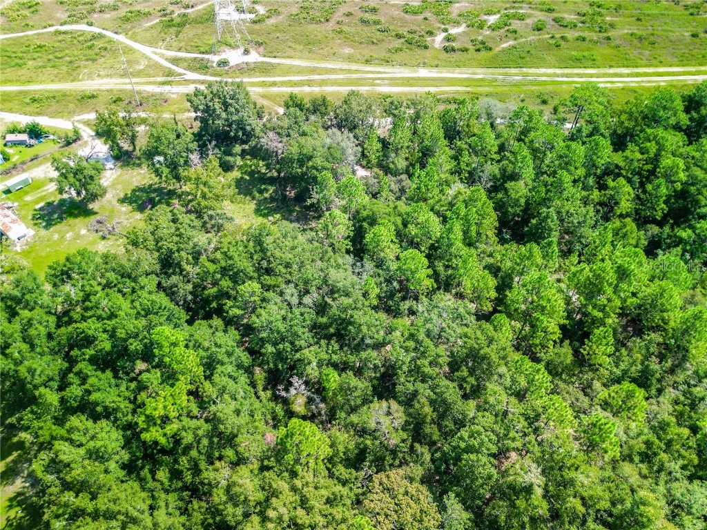 3152 N Bert Terrace Crystal River FL 34428 O6232723 image5