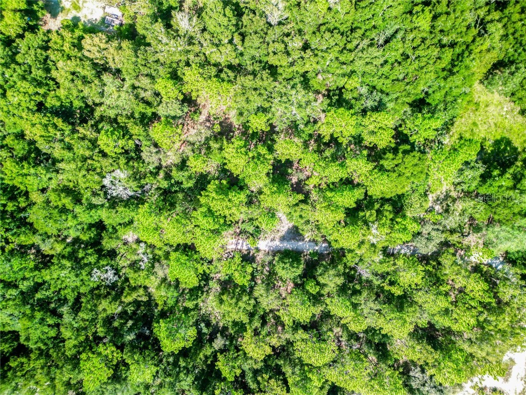 3152 N Bert Terrace Crystal River FL 34428 O6232723 image6