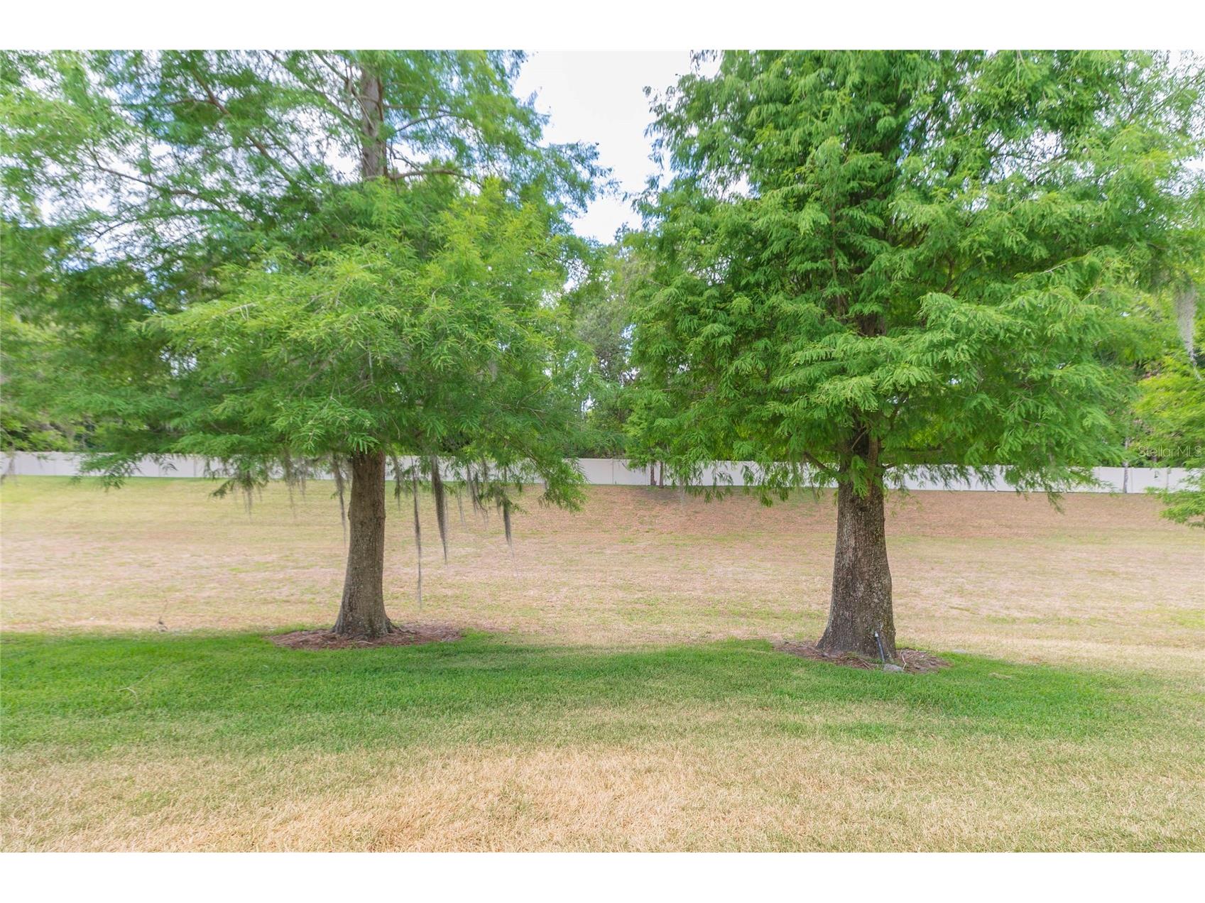 3152 Royal Tuscan Lane Valrico FL 33594 TB8511211 image39