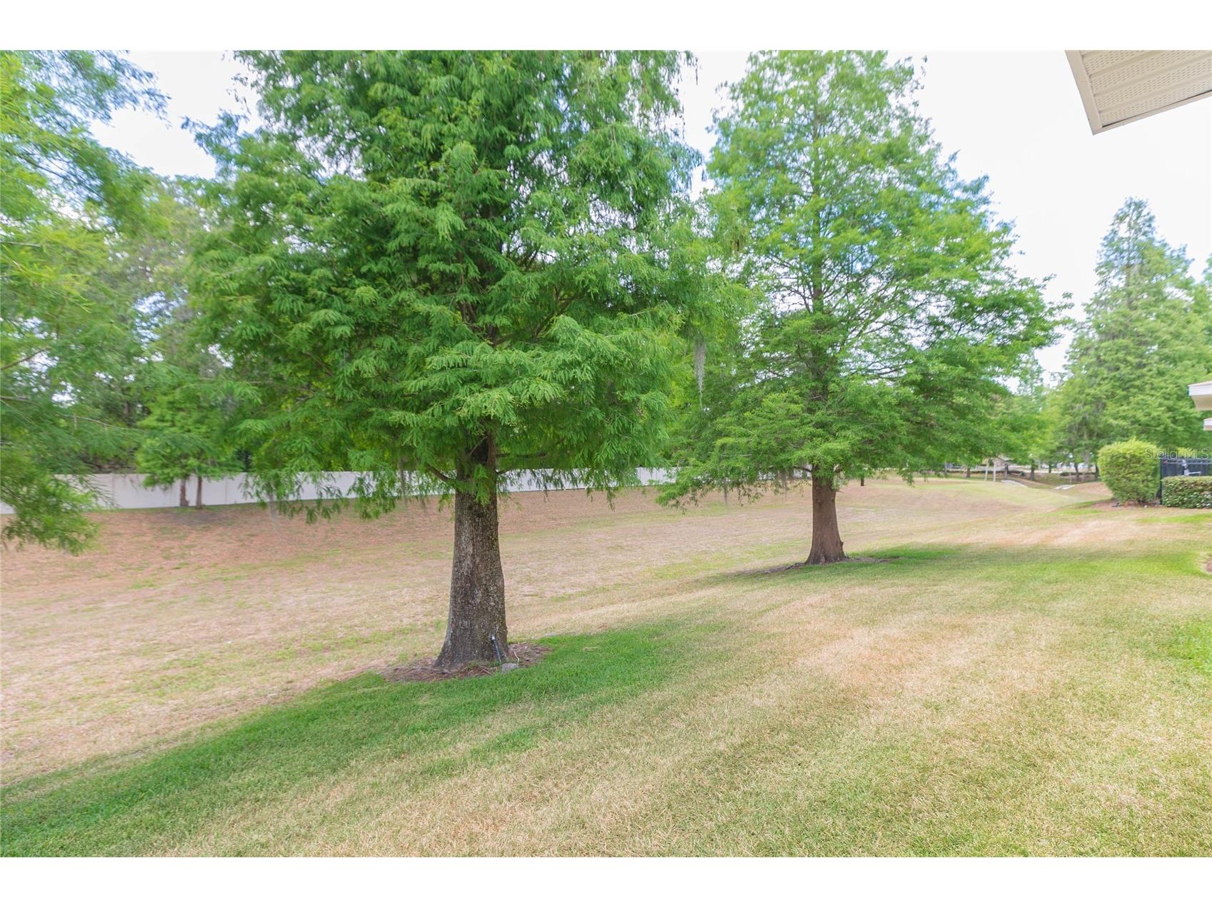 3152 Royal Tuscan Lane Valrico FL 33594 TB8511211 image41