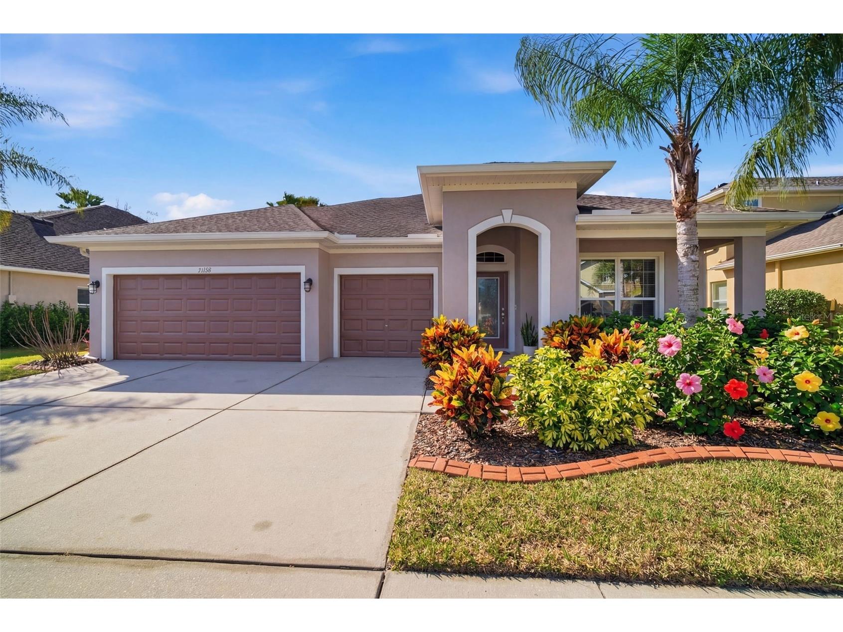 31520 Holcomb Pass Wesley Chapel FL 33543 TB8471797 image1