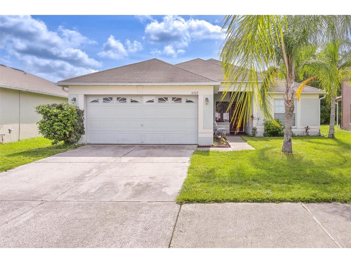 31522 Triborough Drive Wesley Chapel FL 33545 U8204973 image1